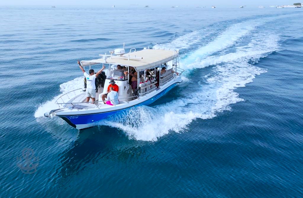 Qarouh Island photo 3
