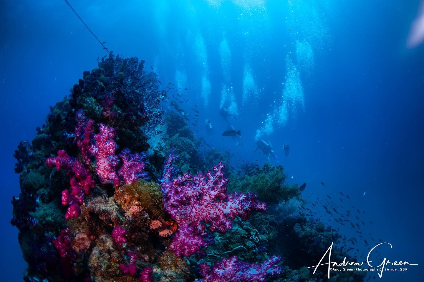 Yongala Wreck photo 3