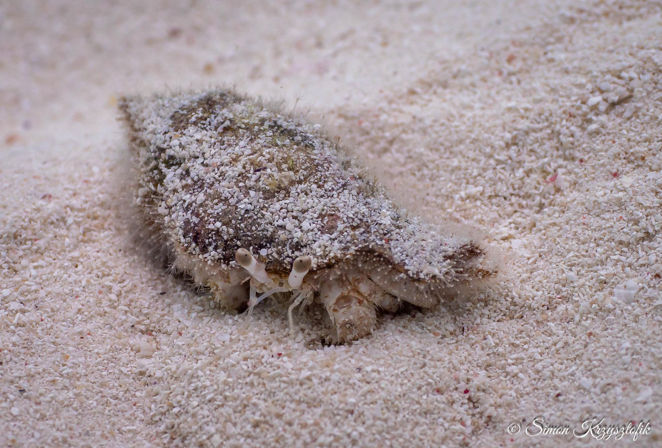 Pange Reef photo 3