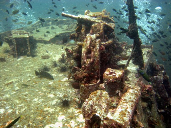 King Cruiser Wreck