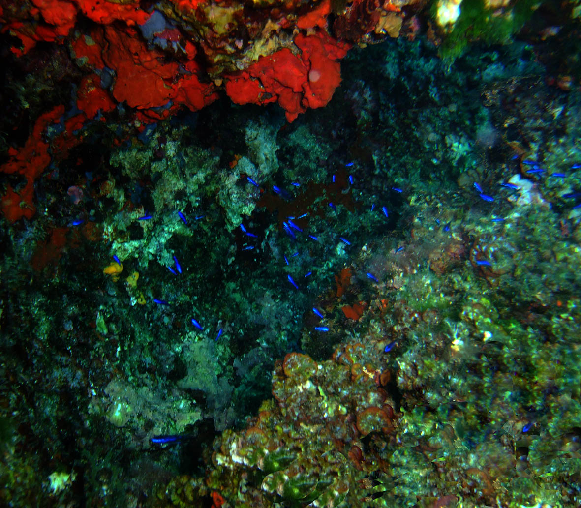 Bezdan photo 2