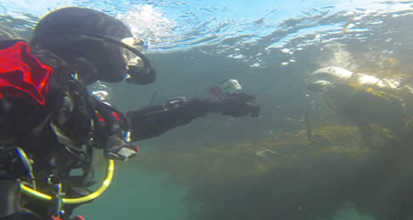 Breakwater / San Carlos Beach photo 2