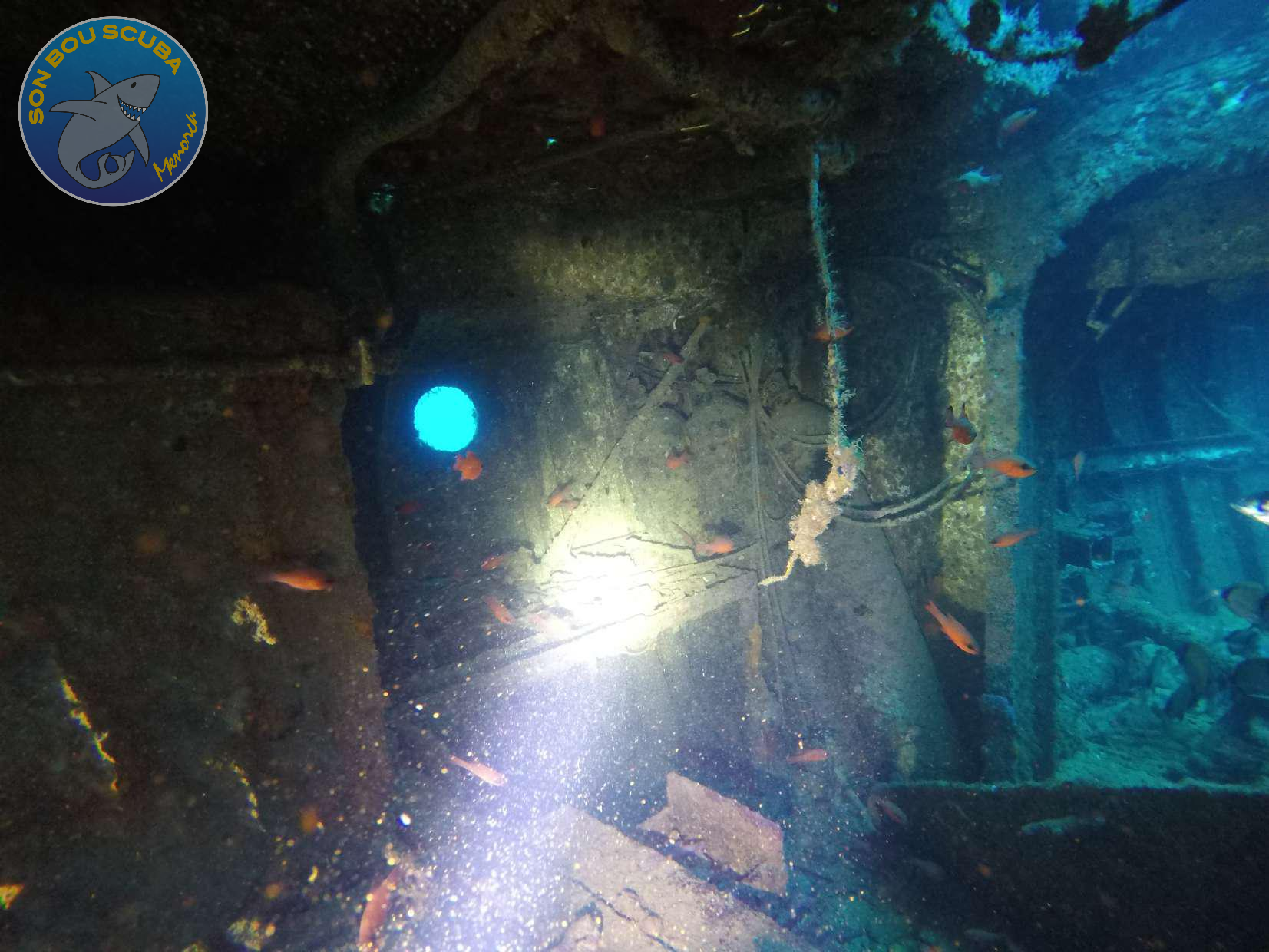 Ocean Diver wreck