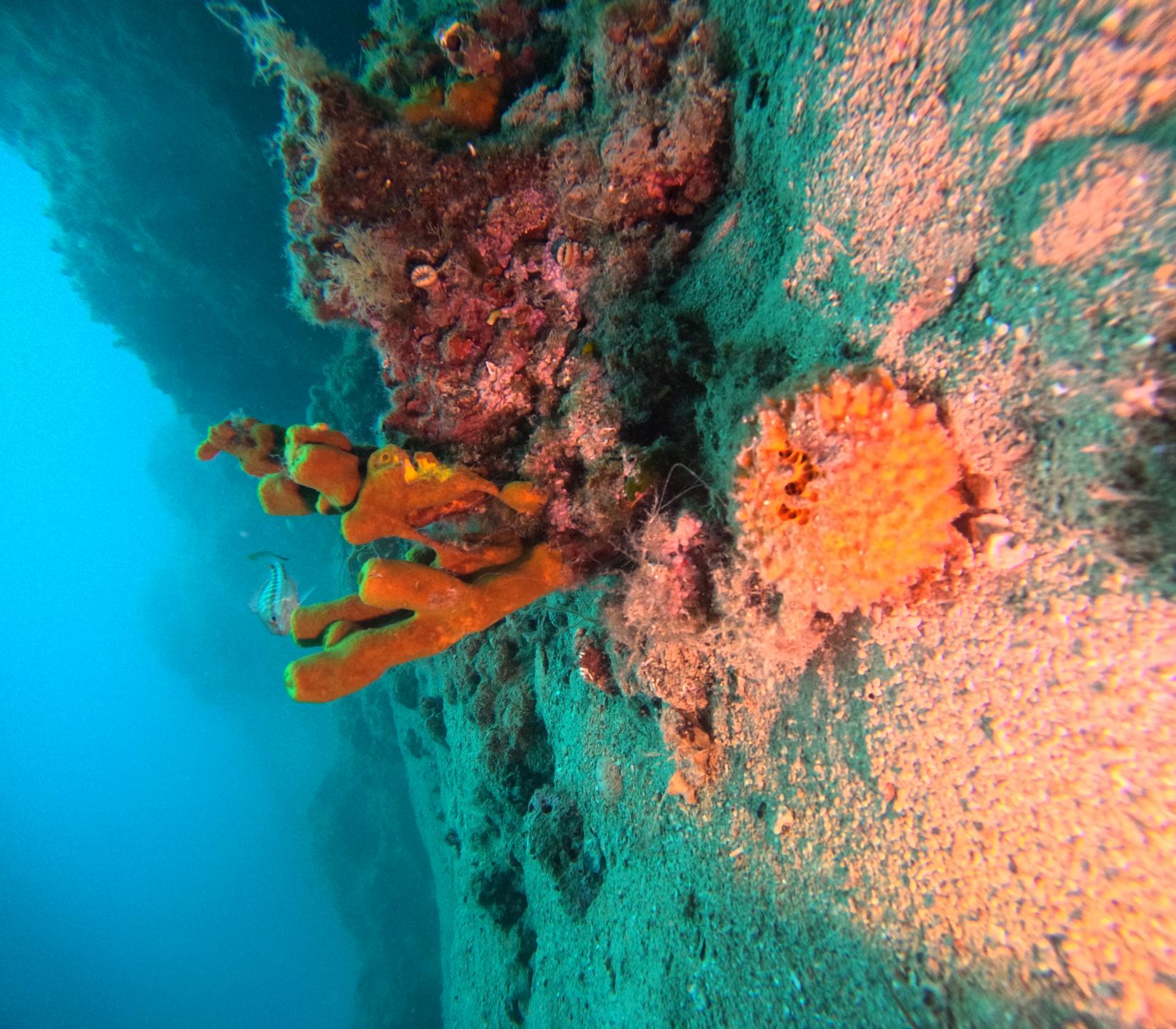 Nugal izvor - Mali Gaj photo 6