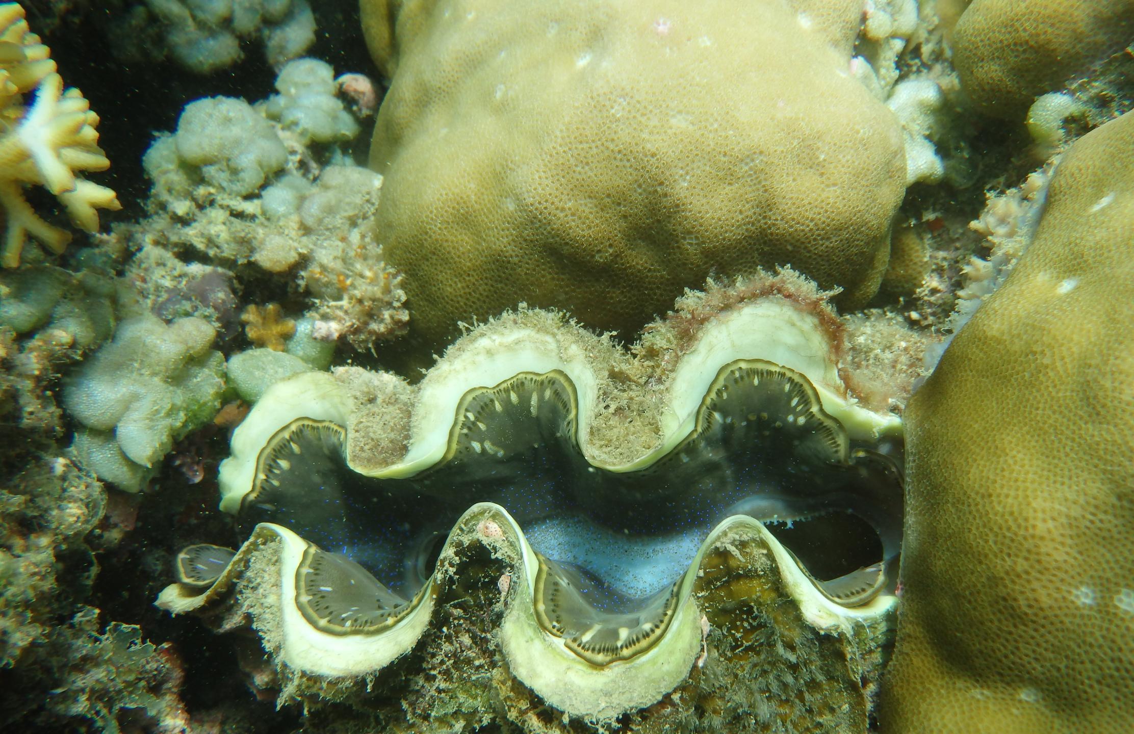 Wave Corner