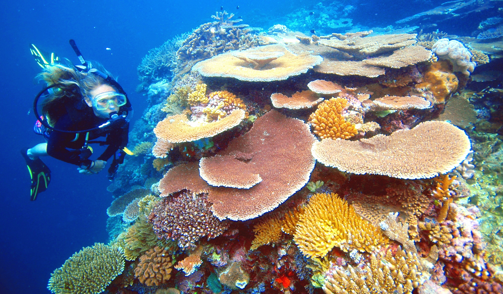 Moore Reef