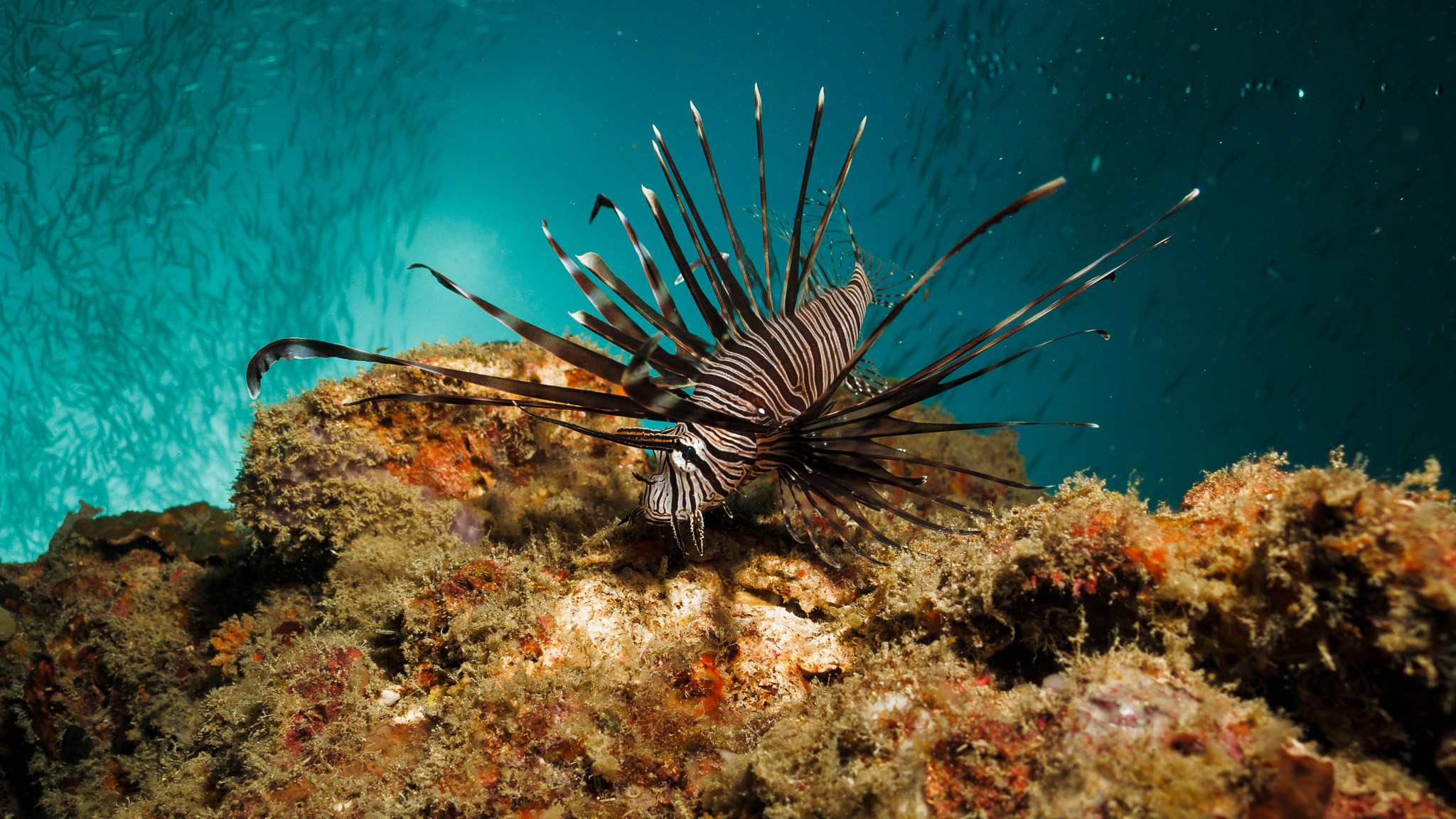 Tuble Marine Sanctuary