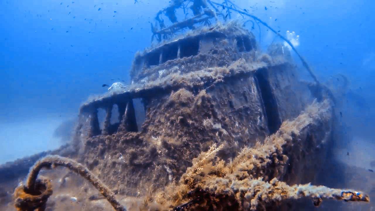 MV Pippo photo 2