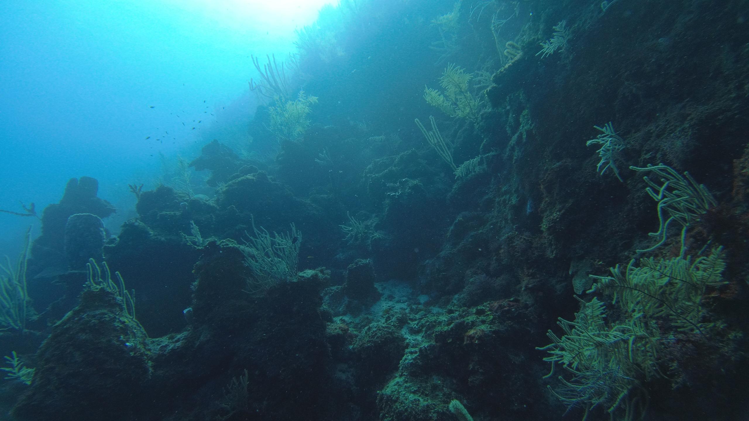 Bear's Den photo 2