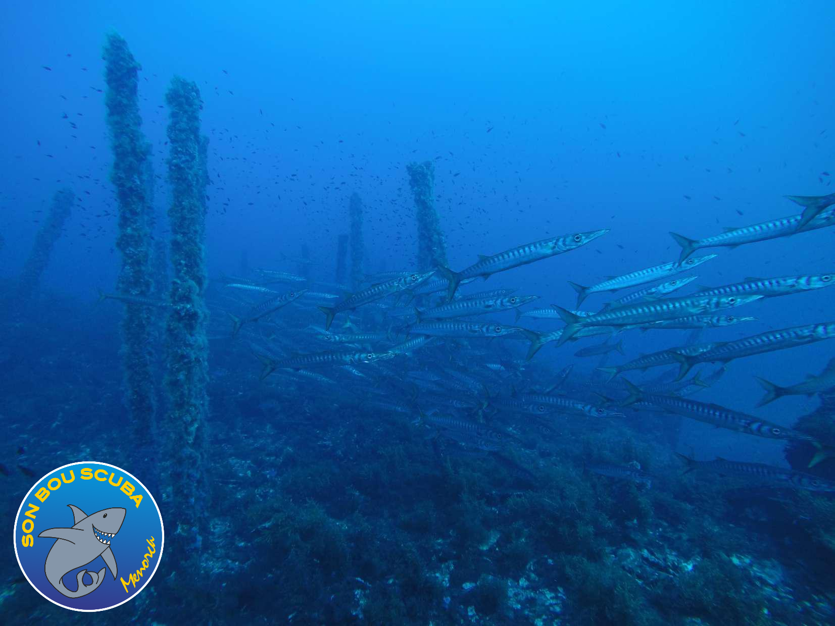 Malakoff wreck photo 3