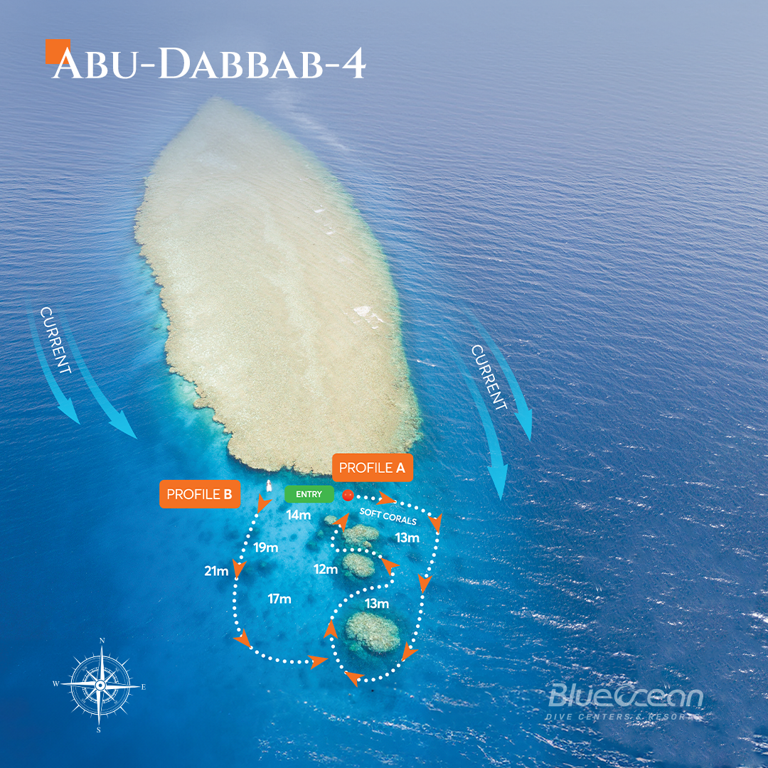 Abu Dabbab 4 photo 2