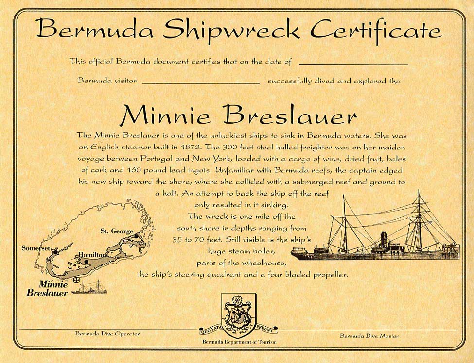The Minnie Breslauer
