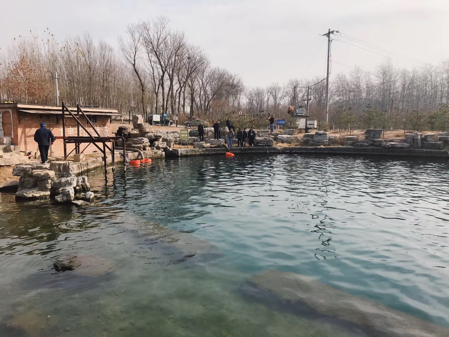 Beijing golden fish spring photo 2
