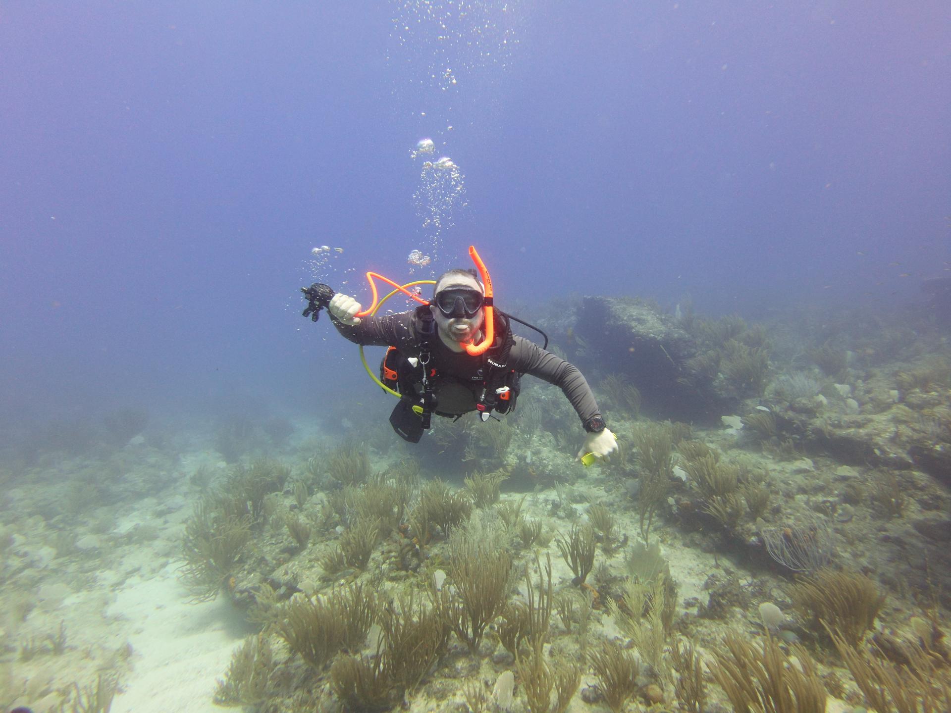 Coralita photo 2
