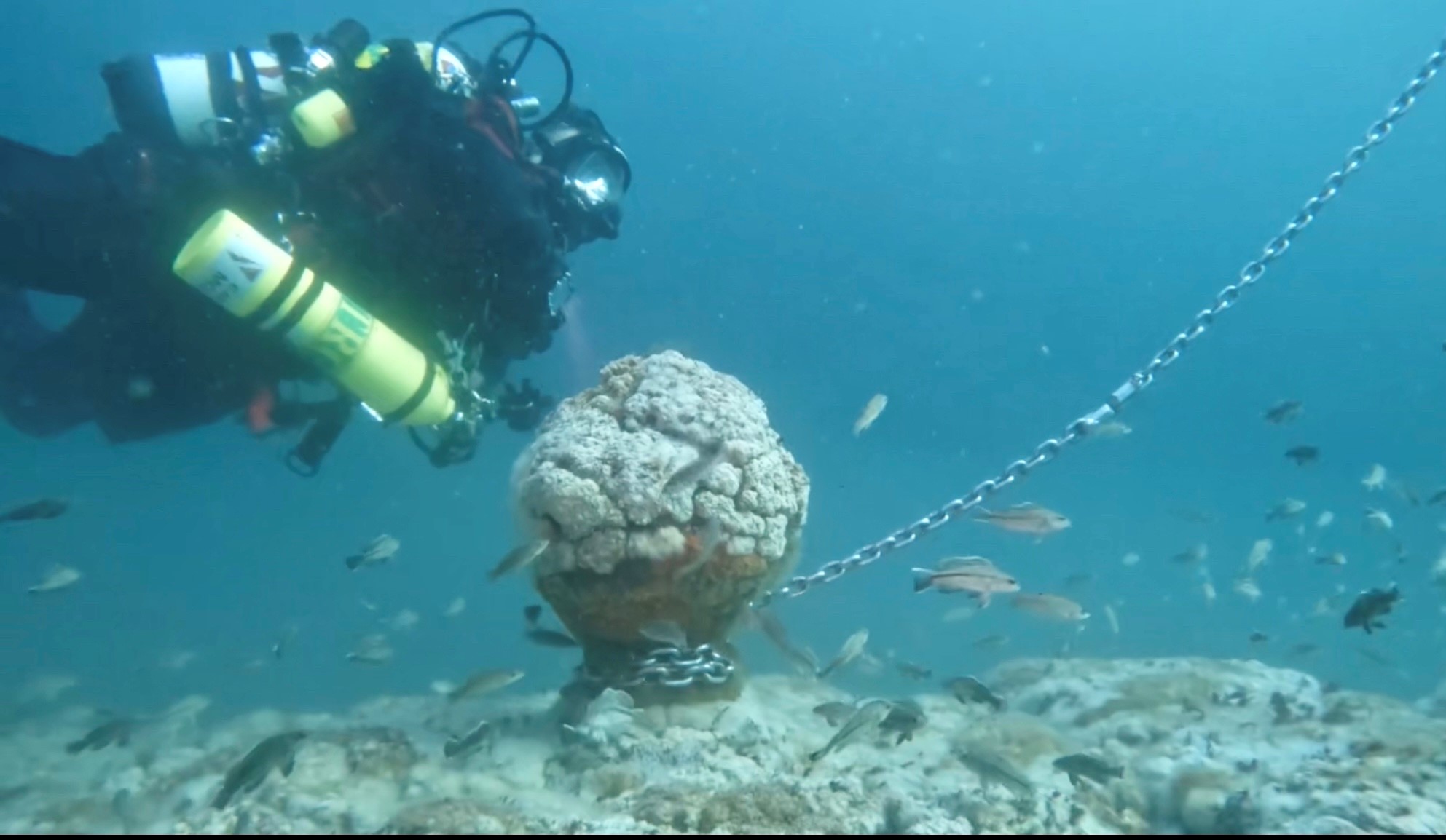 Iberia Wreck photo 2