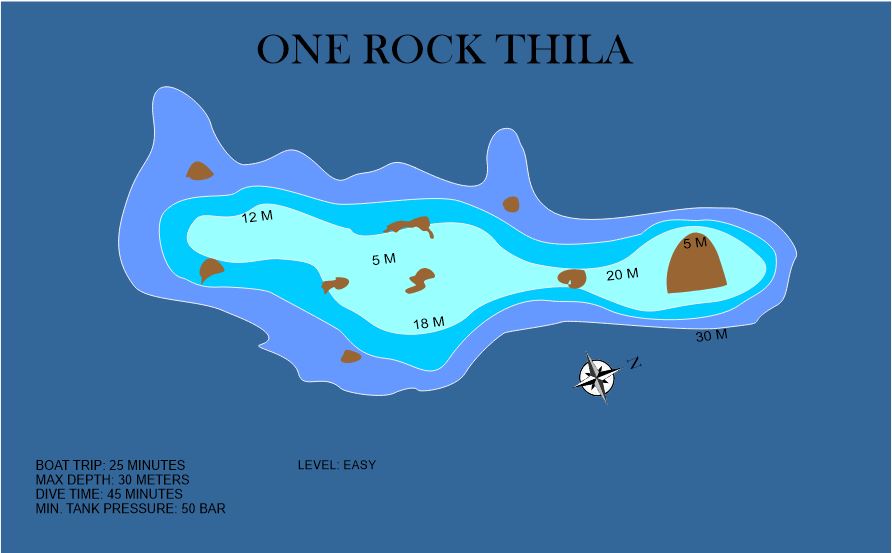 One Rock photo 2