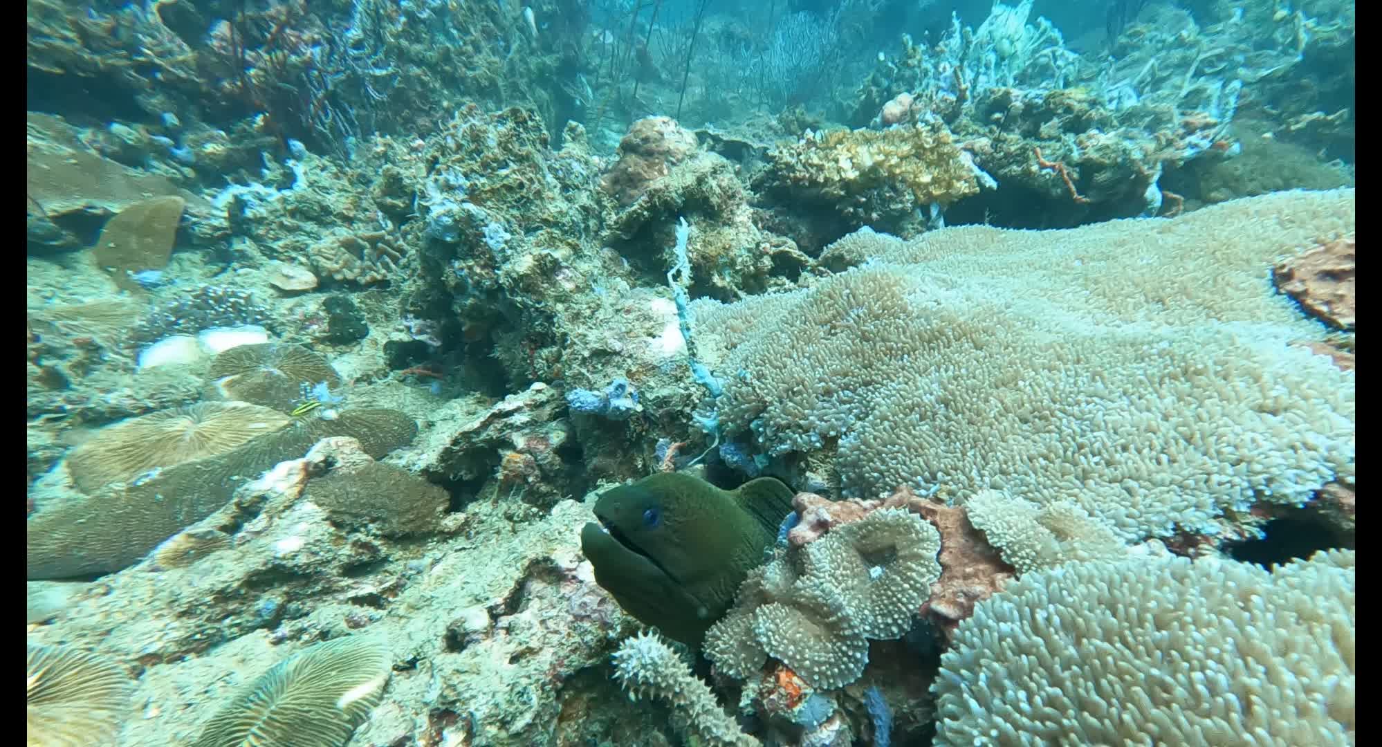 Pelong Rock photo 2