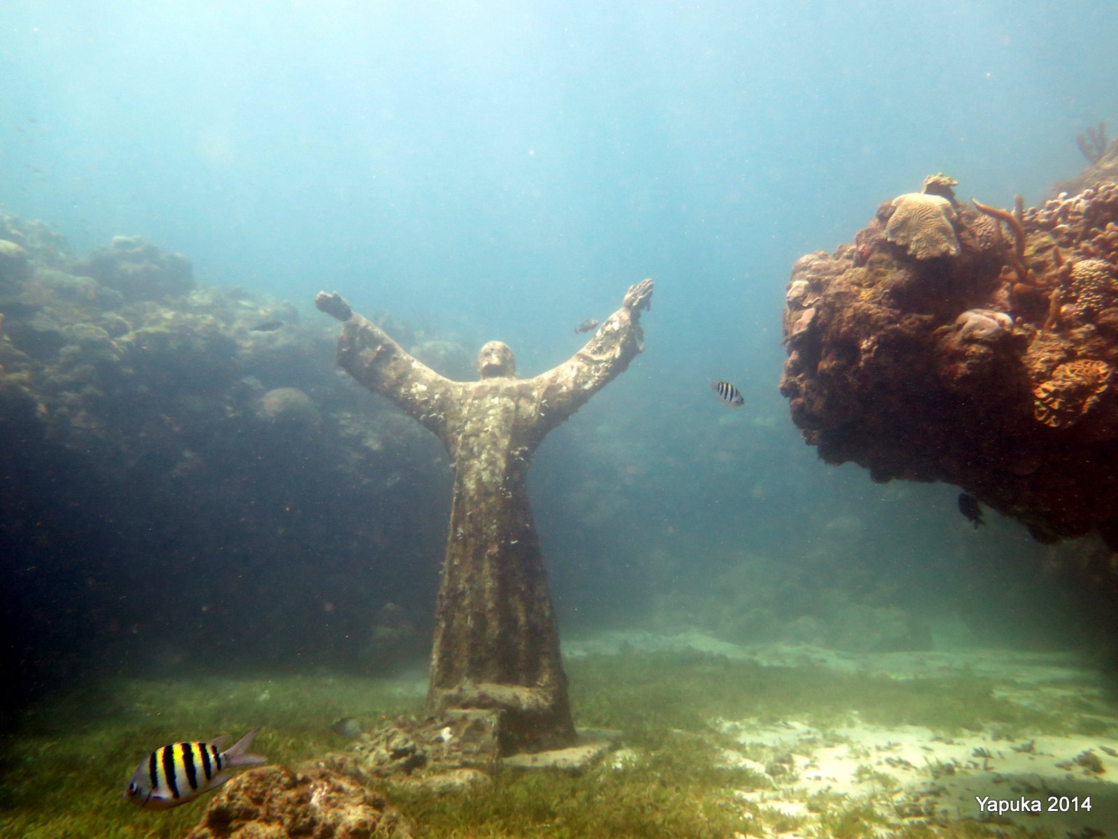 Underwater Sculpture Park photo 3