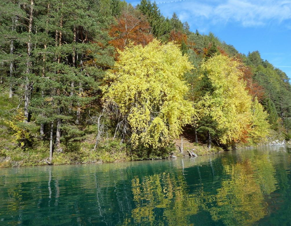 Große Steinwand photo 5