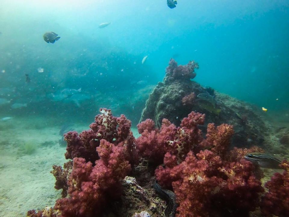 3 Rocks (Sharm rock) photo 4