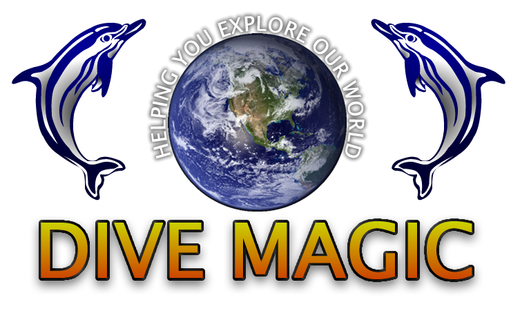 Dive Magic Orchard Pool