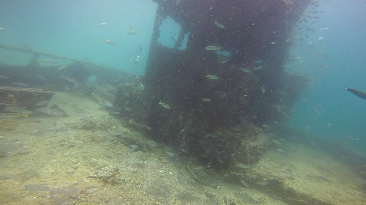 Humsi Wreck photo 6