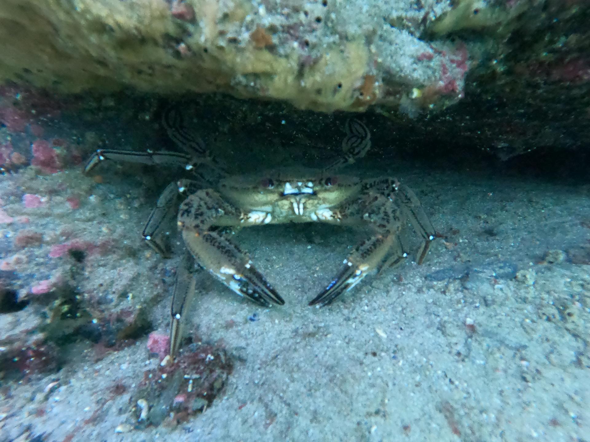 Beadnell Bay Ladyhole photo 5