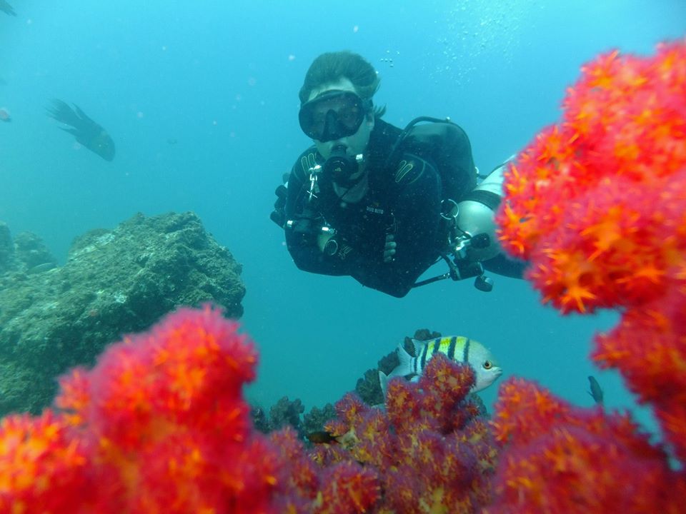 Coral Gardens photo 2
