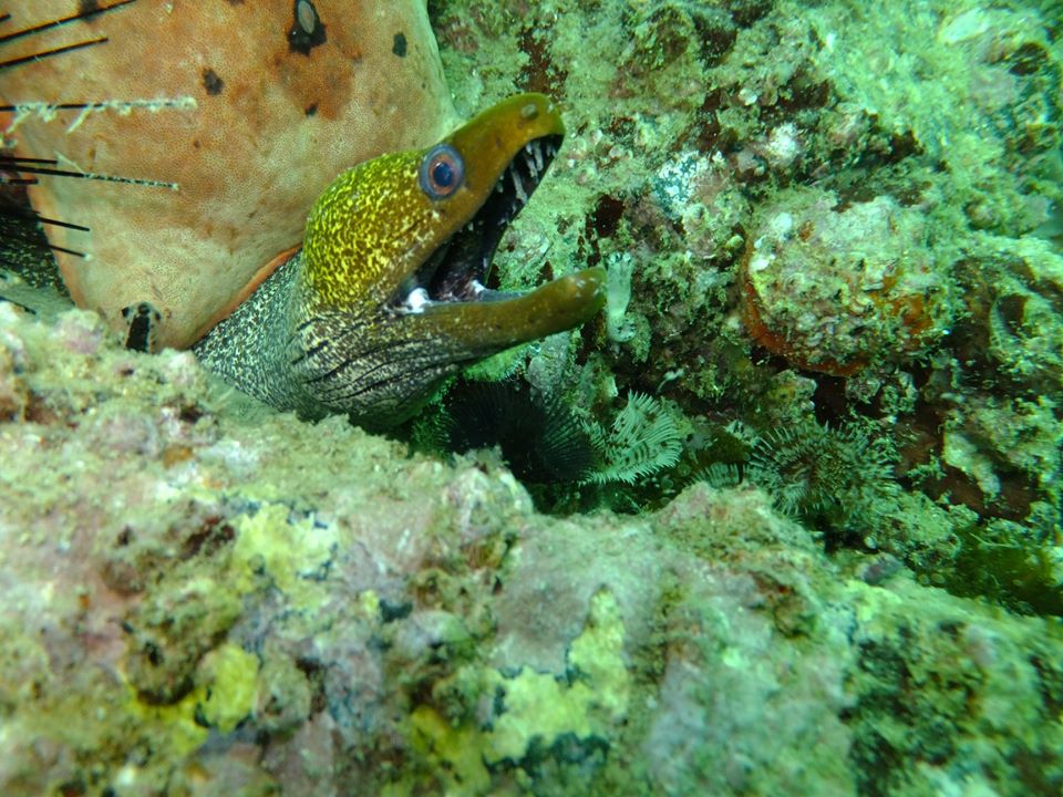 3 Rocks (Sharm rock) photo 6