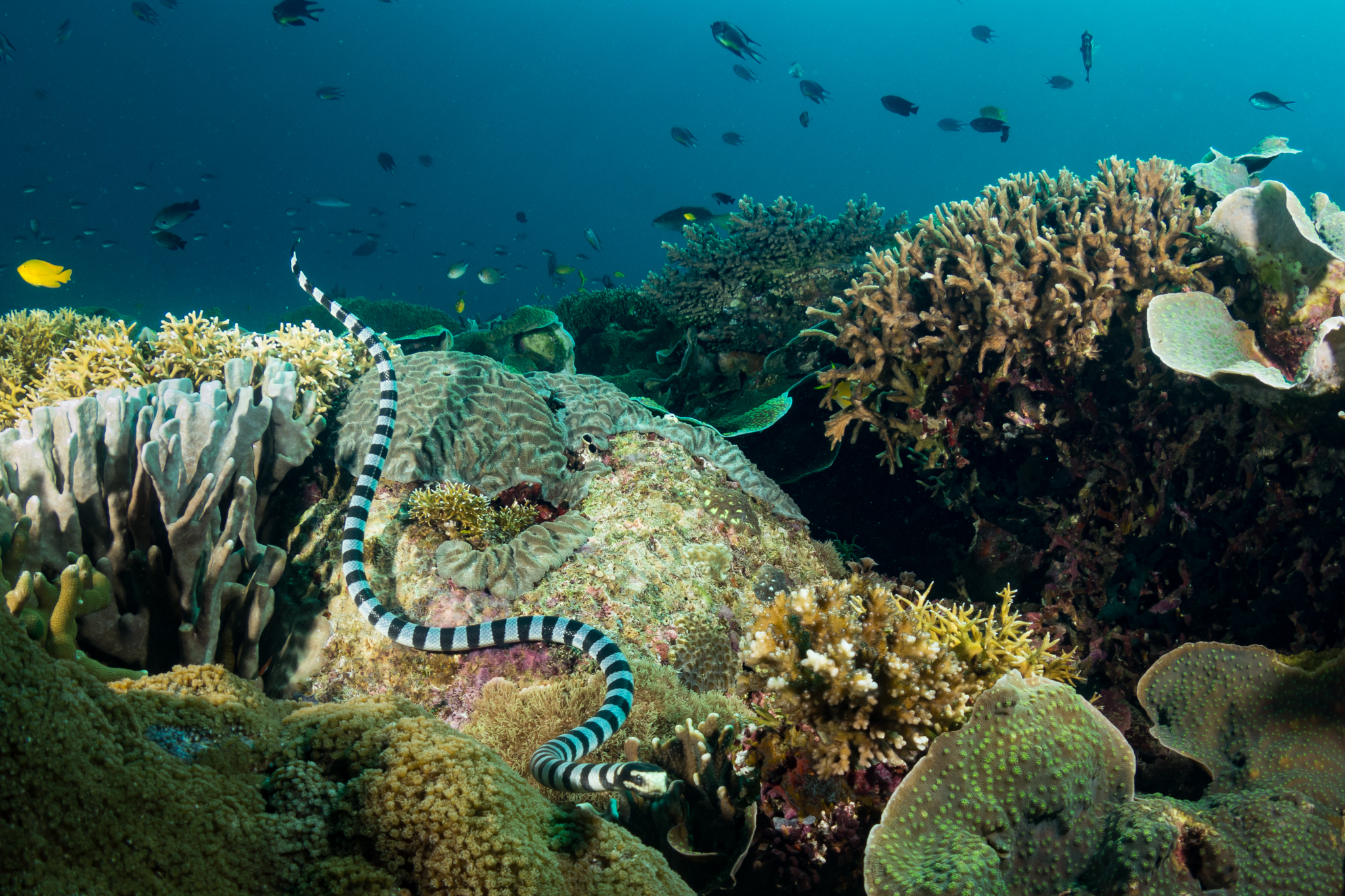 Lungsodaan MPA photo 3