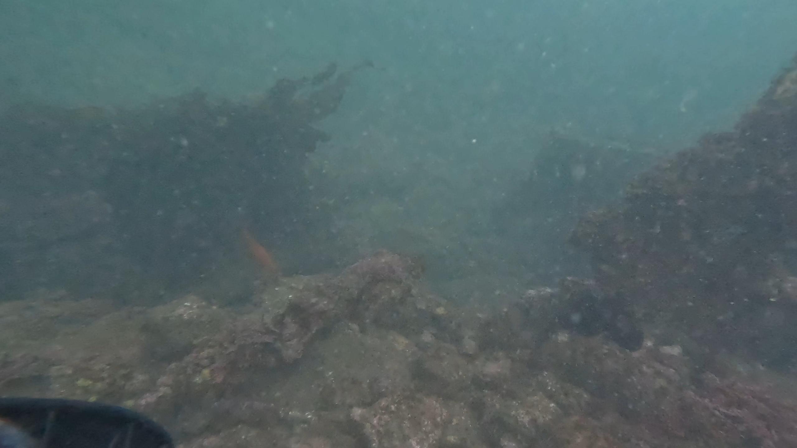 Cabrillo Beach photo 4