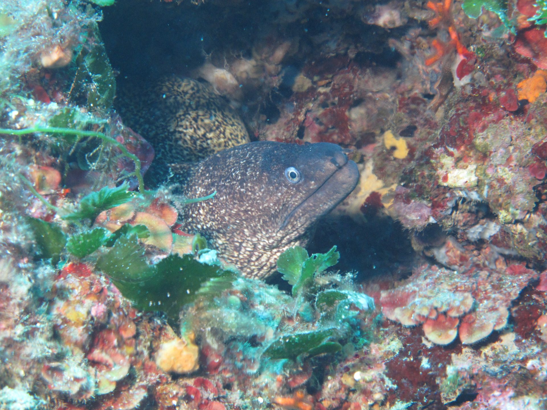 Baia del Rogiolo photo 2