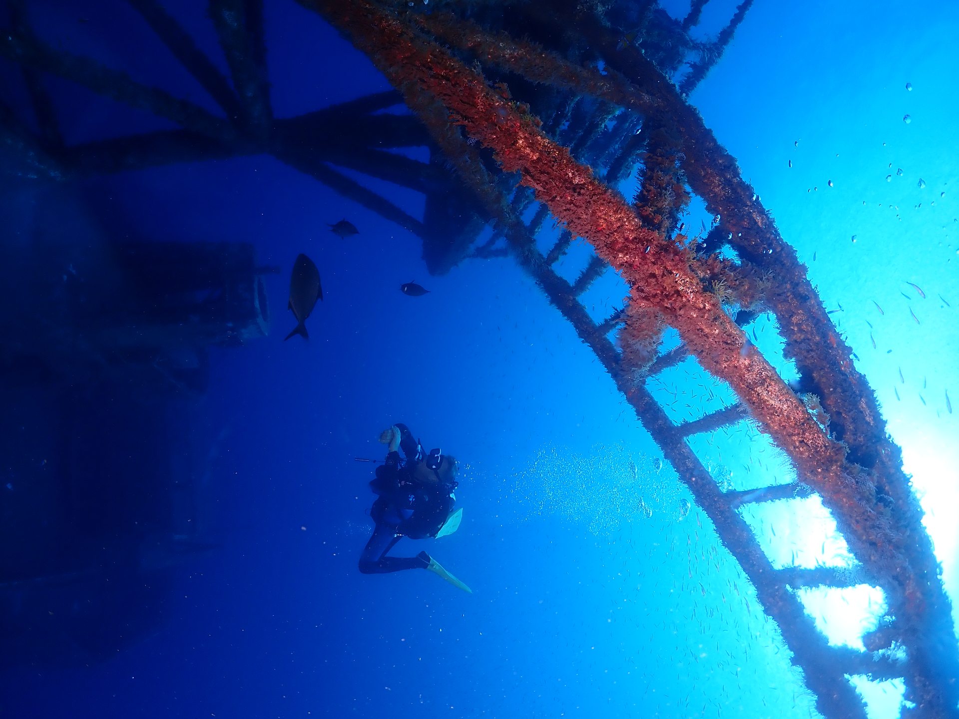 Wreck Afonso Cerqueira photo 9
