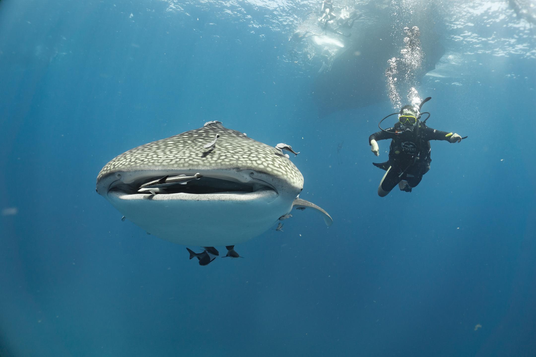 Chumphon Pinnacle