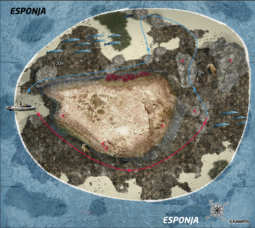 Esponja