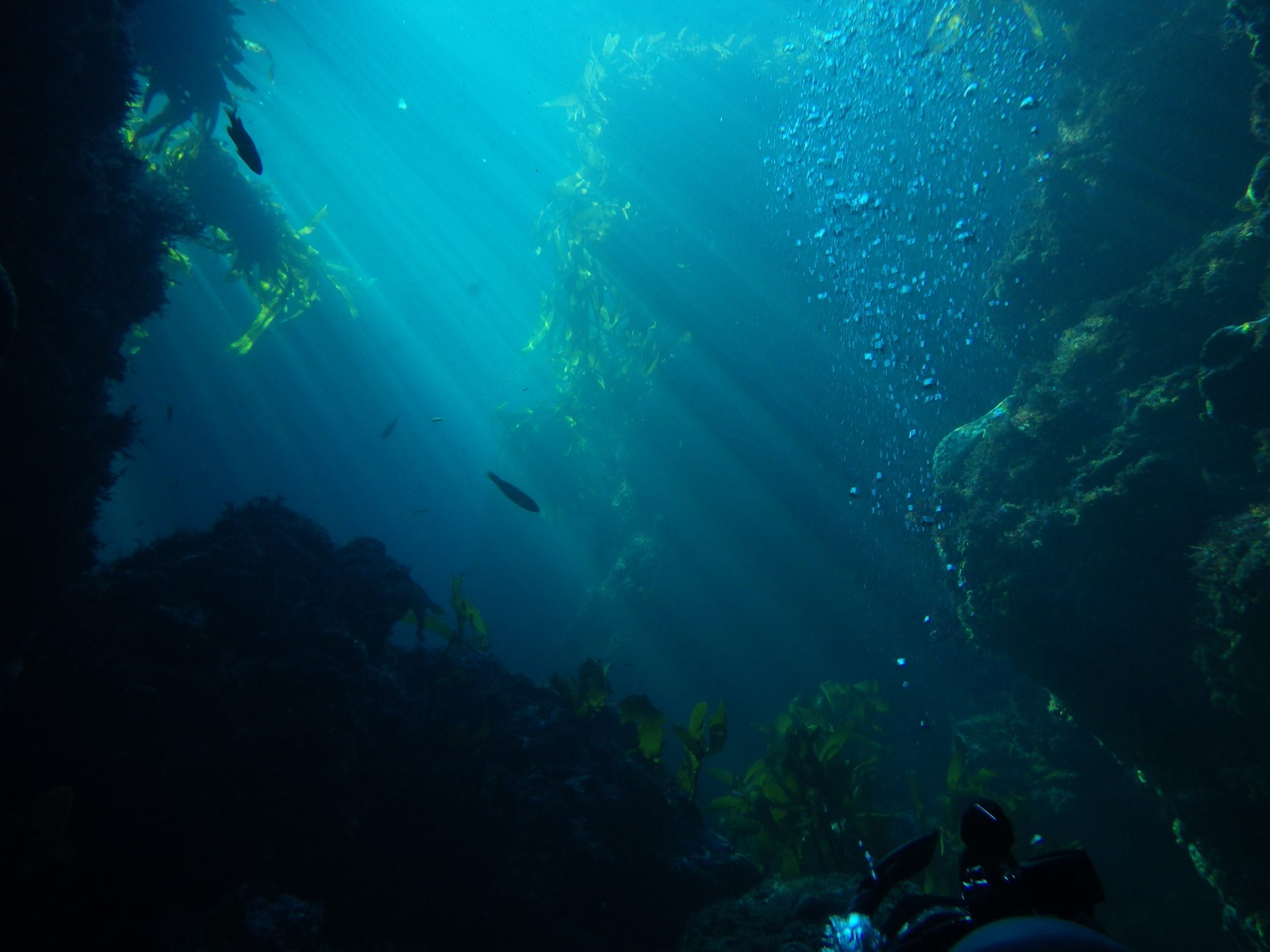 Shaw's Cove photo 3