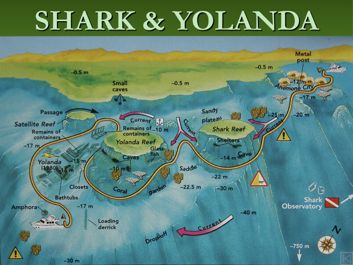 Shark & Yolanda Reef - Ras Mohammed photo 6