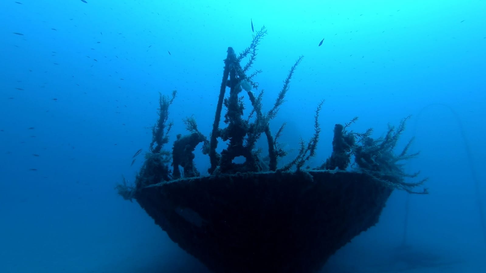 P-29 - Patrol Boat photo 2
