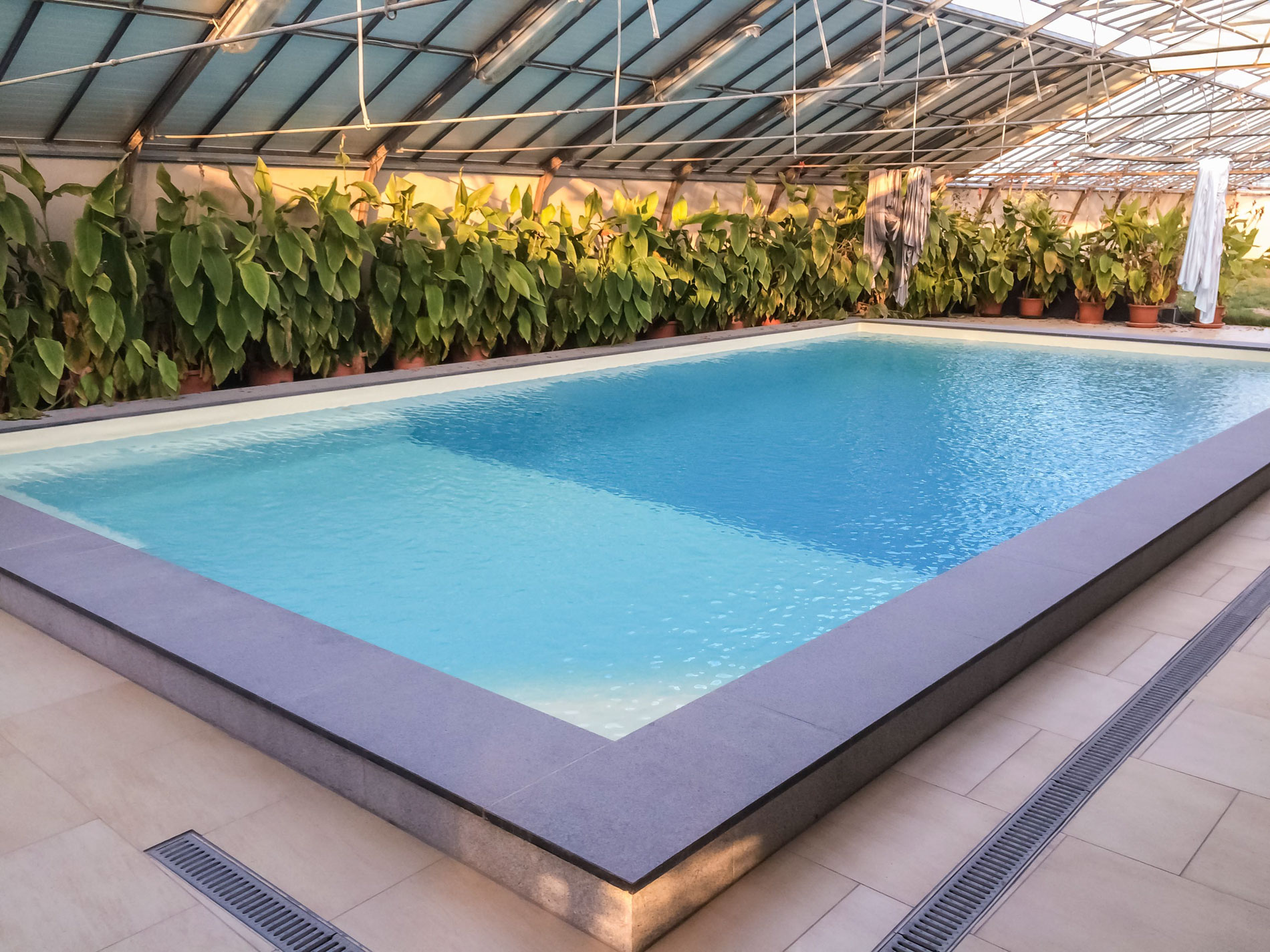 i DIVE POOL photo 2