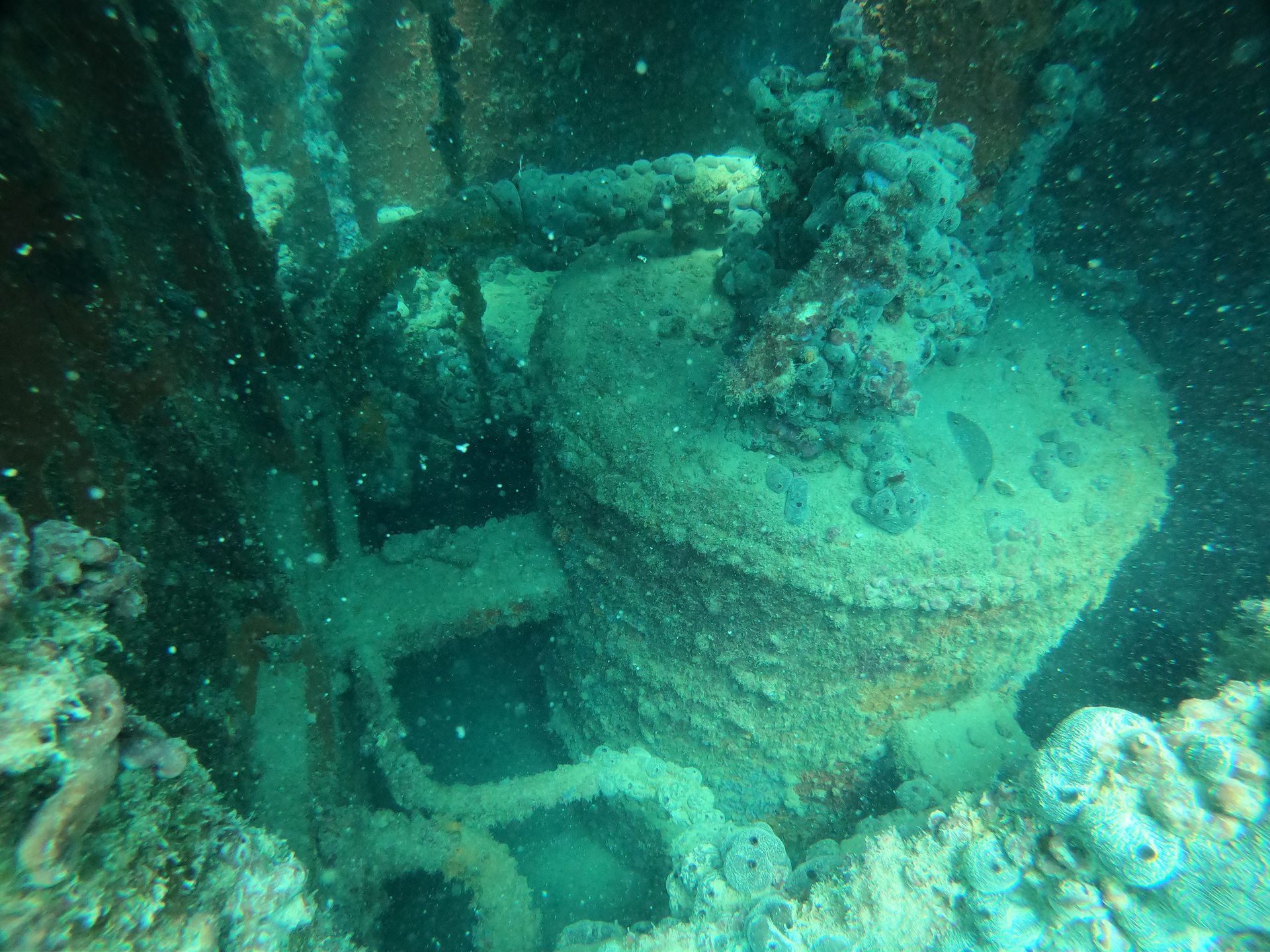 Shipwreck "Cretaland"