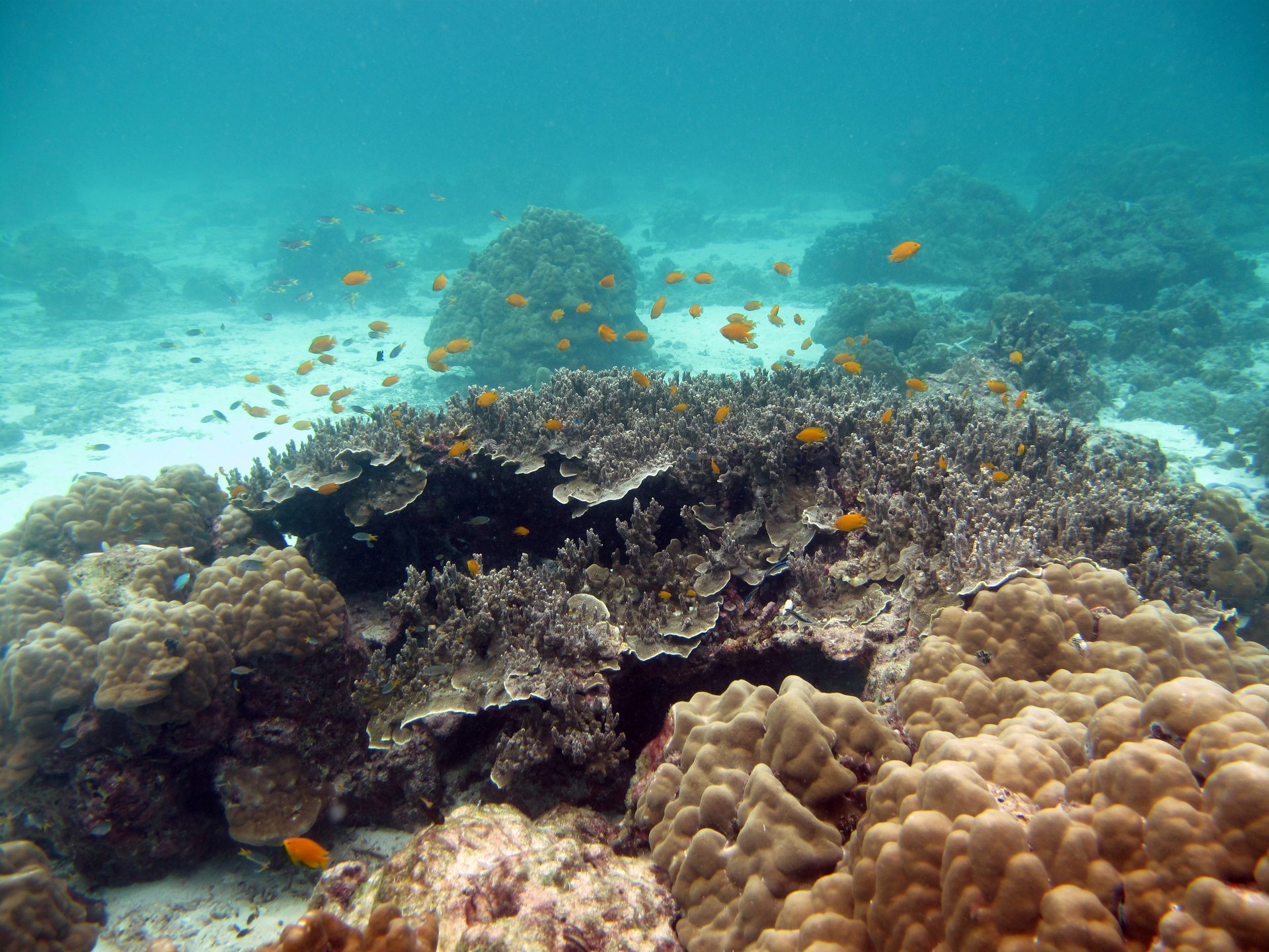 Koh Ha Lagoon photo 4