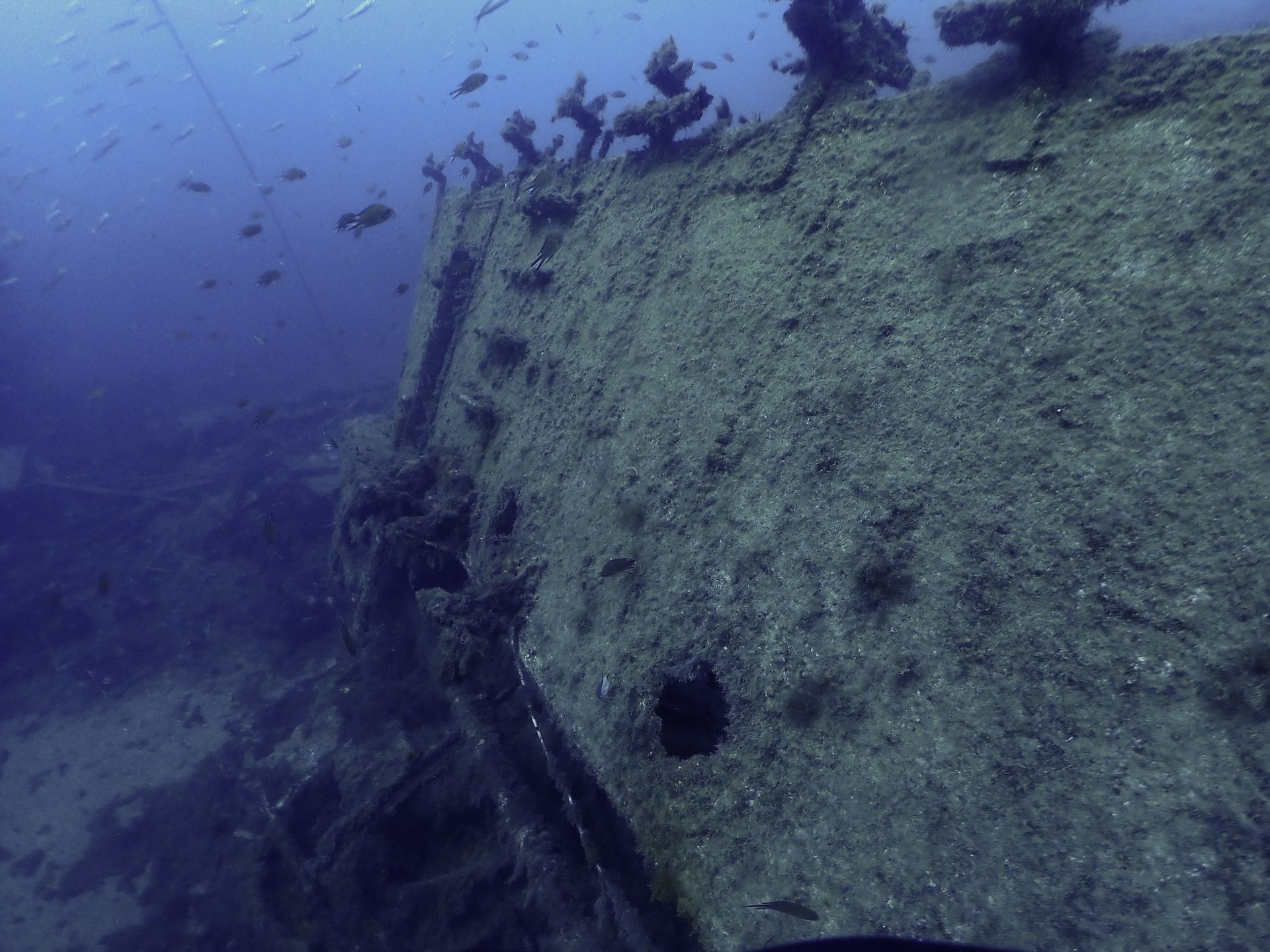 Harbour Wrecks photo 4