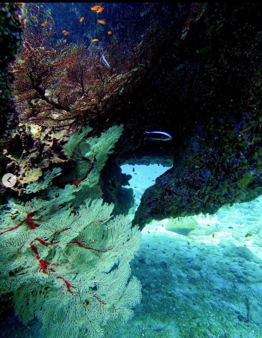 Broken Ledge photo 2