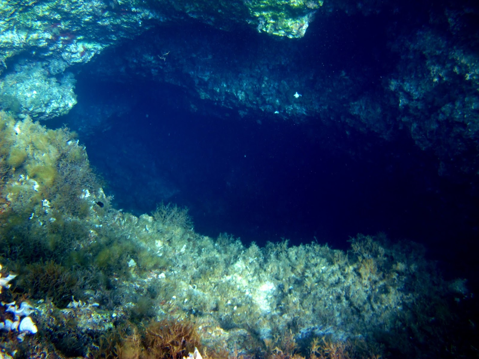 Comino Island - Lantern Point photo 3