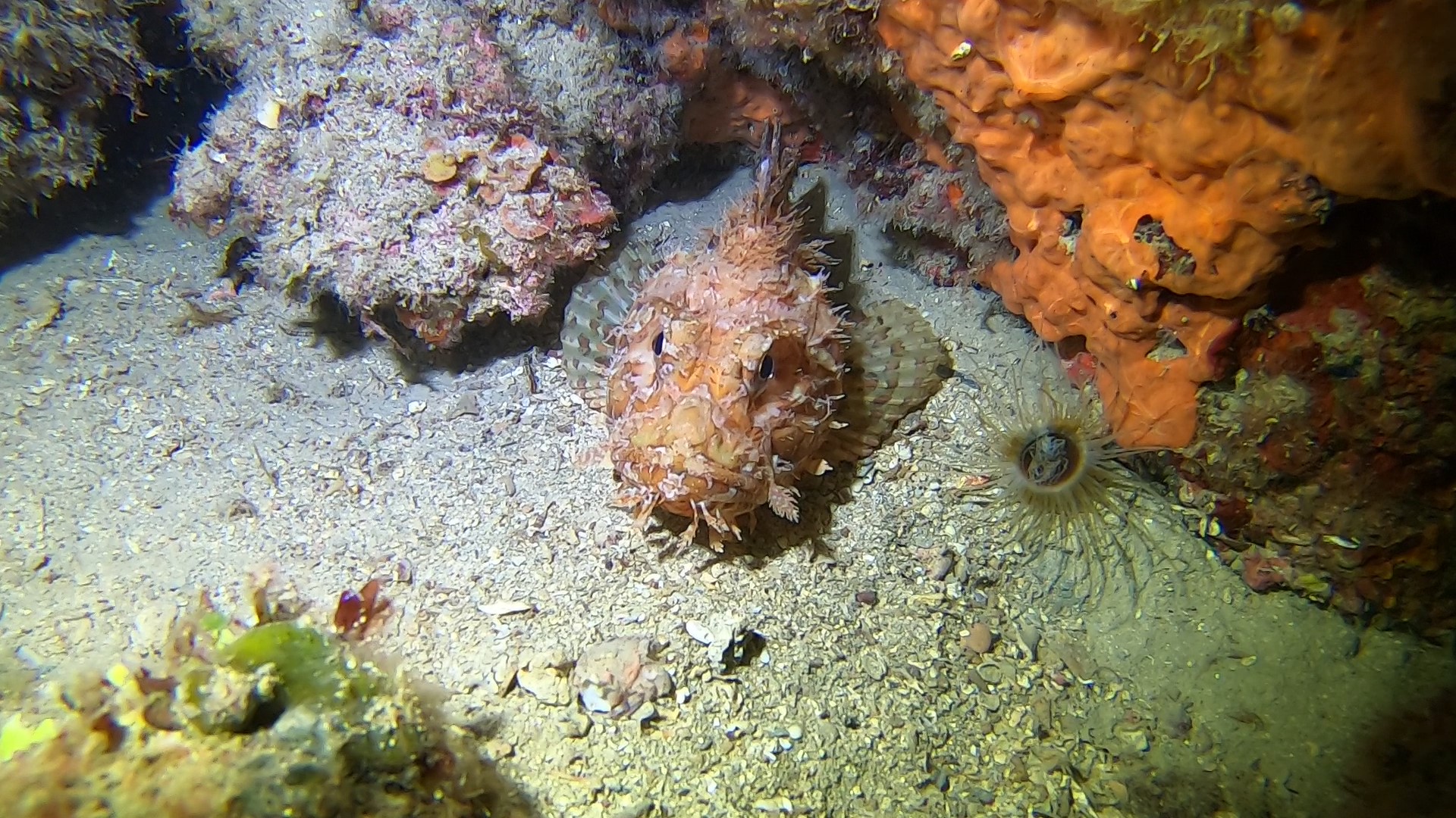 SMALL CANYONS photo 4