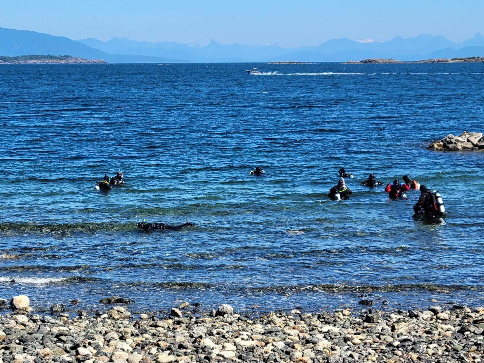 Tyee Cove photo 2