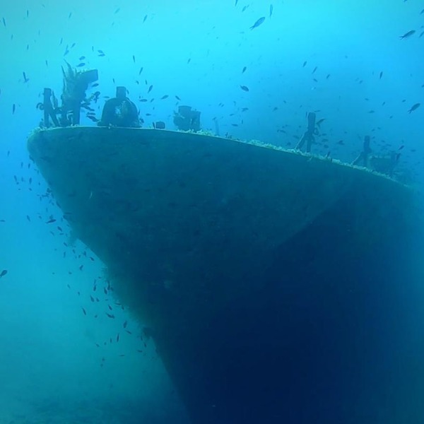 P-31