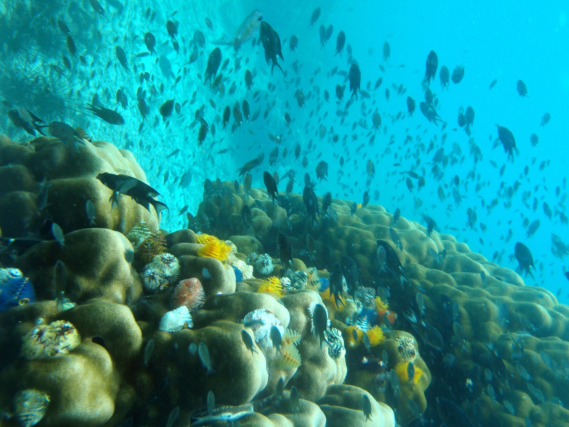 Angthong Marine Park photo 3