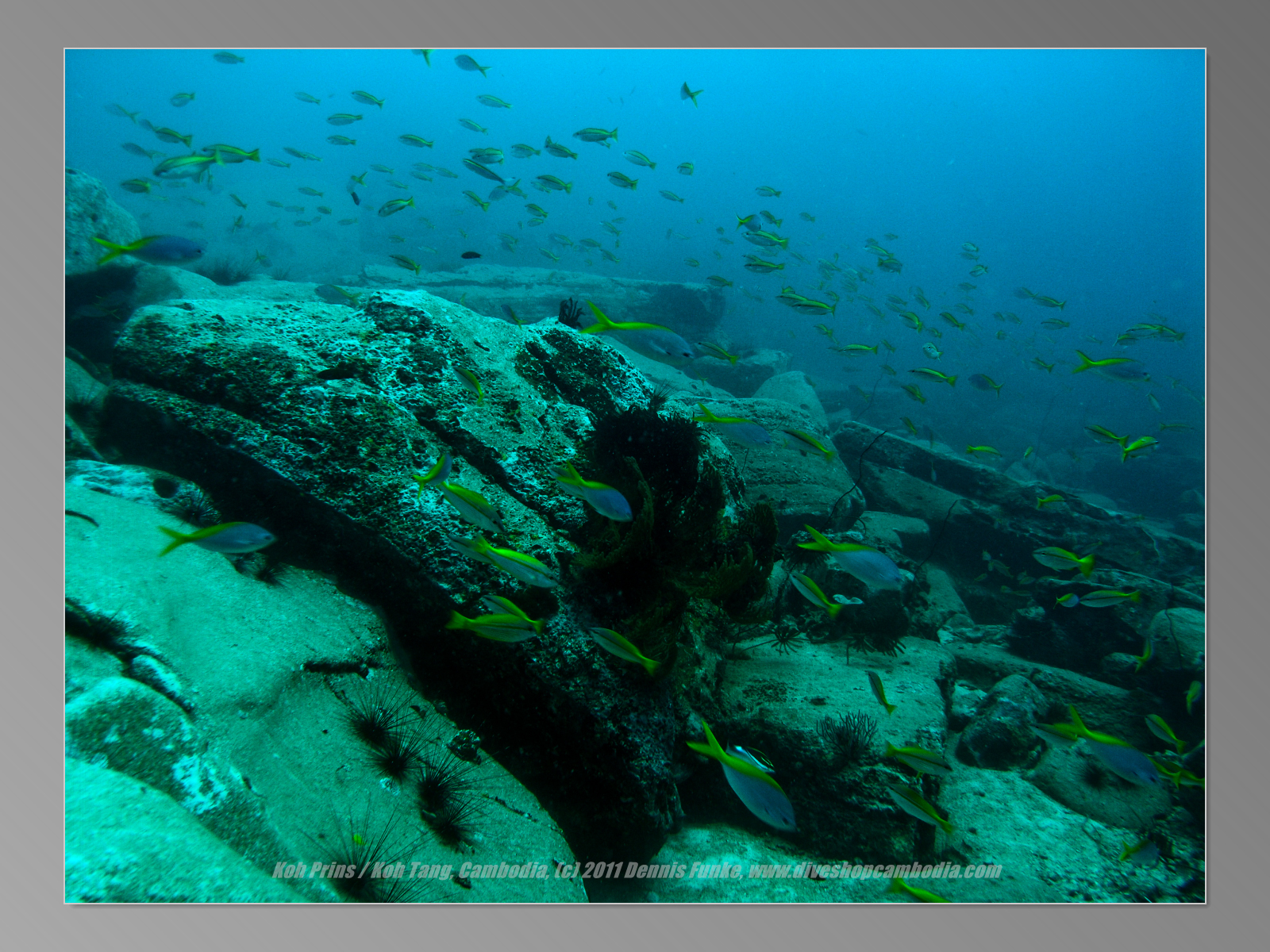 Koh Trang Ol photo 5
