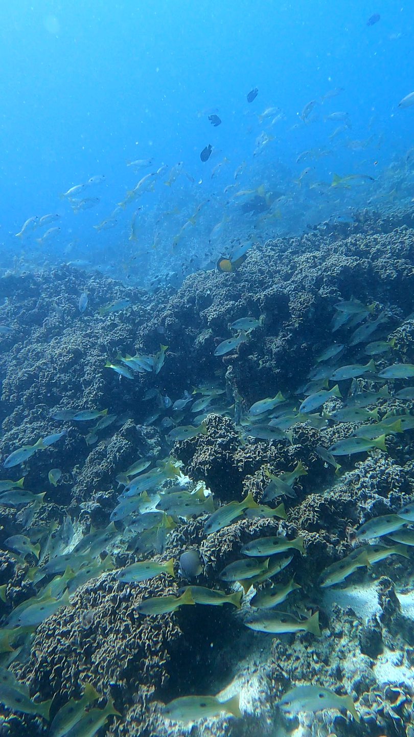 Aquarium photo 10